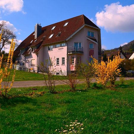 Castell Hotel & Restaurant Лайнсвайлер Екстериор снимка