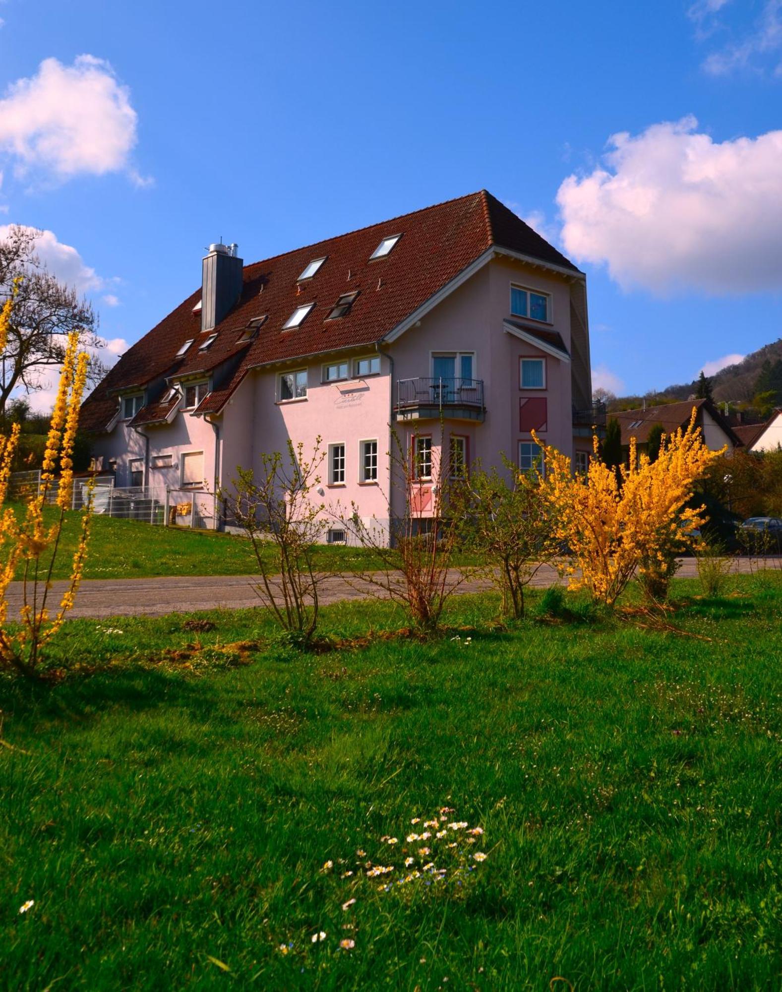 Castell Hotel & Restaurant Лайнсвайлер Екстериор снимка